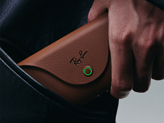 Ray-Ban Meta Wayfarer (Gen 2) Ladeetui braun